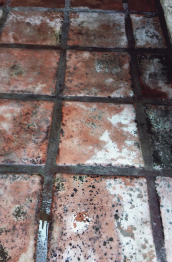 Villa Park Mexican Pavers Saltillo Before