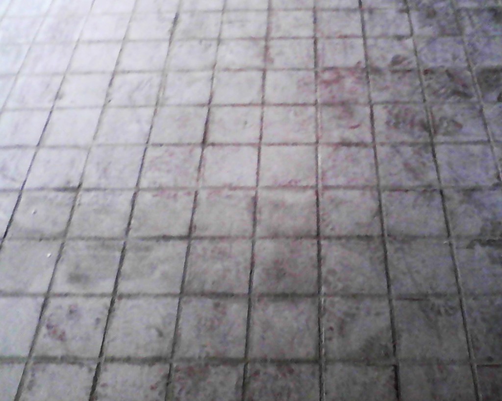 Commercial Floor Cleaning Before